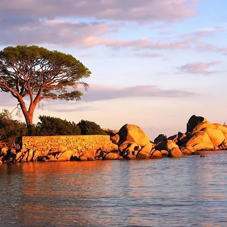 Belvedere De Palombaggia منتزه العطل بورتو فيكشْيو