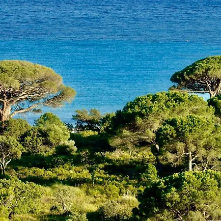 홀리데이파크 Belvedere De Palombaggia 포르토베쉬오